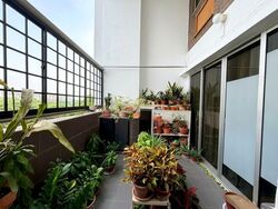 Blk 408 Pasir Ris Drive 6 (Pasir Ris), HDB Executive #628822511